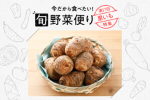 旬野菜便り♪ねっとりおいしい！里いも調理のコツ！