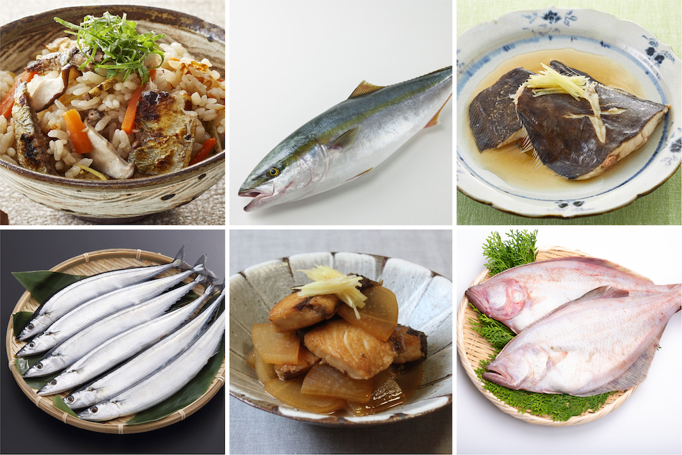 秋の魚料理を堪能♪旬を味わうとっておき和食レシピ