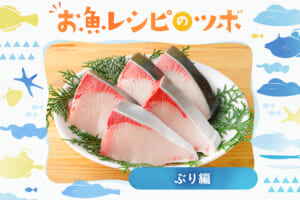 お魚レシピのツボ♪ 旬のぶりを賢く味わう☆