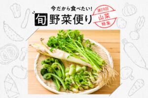 旬野菜便り♪春めく山菜の魅力＆堪能レシピ