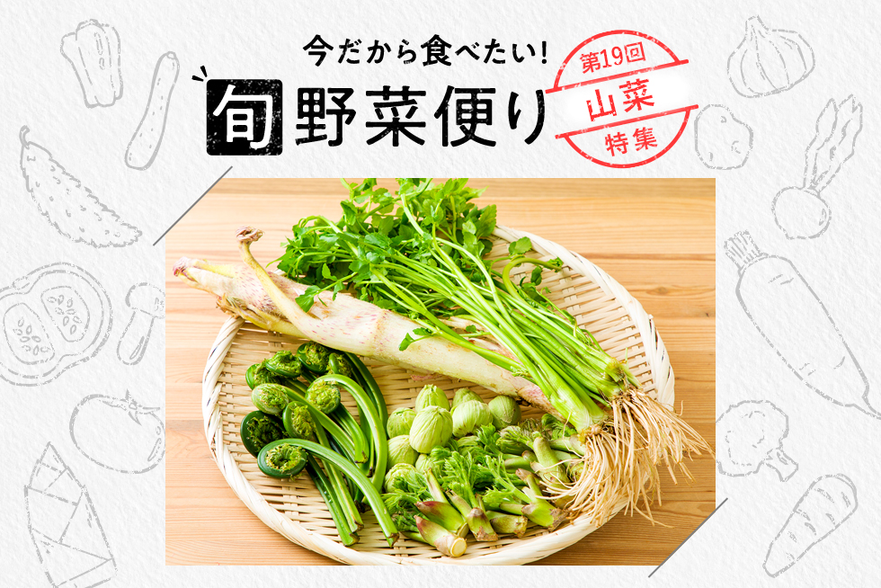 旬野菜便り 春めく山菜の魅力 堪能レシピ 味の素パーク たべる楽しさを もっと