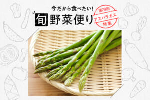 旬野菜便り♪食感と甘味を楽しむ☆アスパラ堪能のコツ