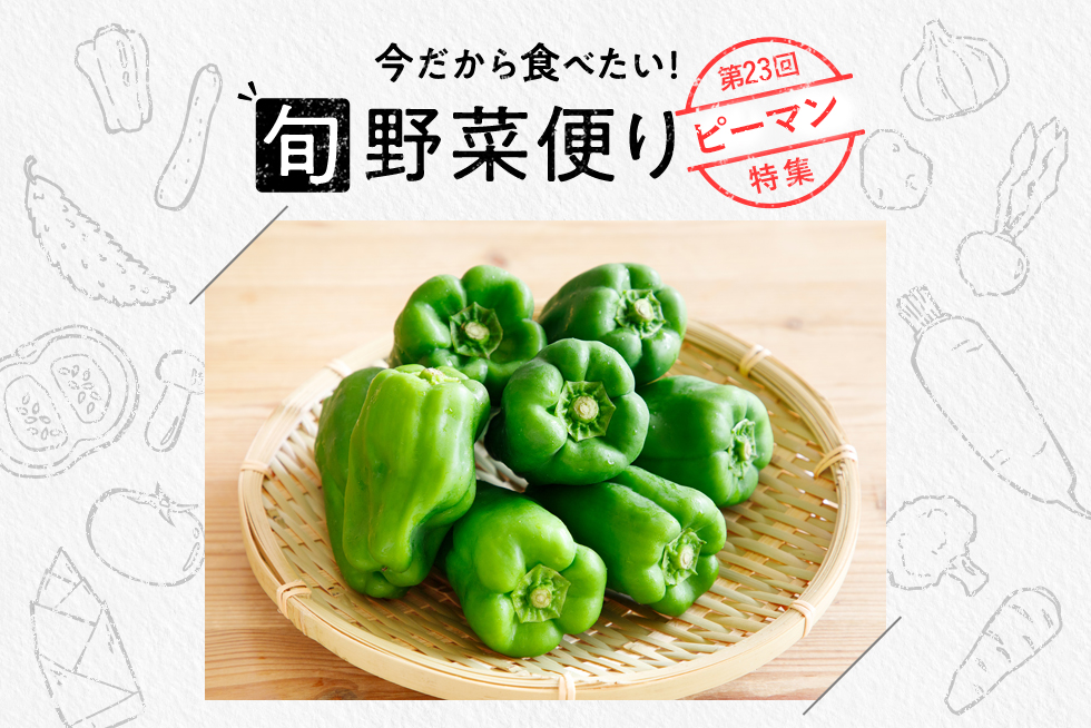 旬野菜便り♪おいしさ無限大！ピーマンを食べつくそう☆