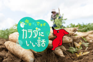今日からできるカラダにいい話 千葉の「チバカツ」で野菜を もっと好きになる！