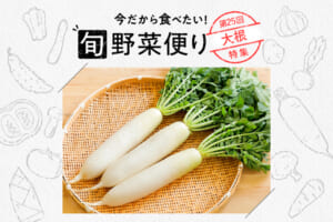 旬野菜便り♪新鮮大根だから味わえる！1本まるまる使い切り計画☆