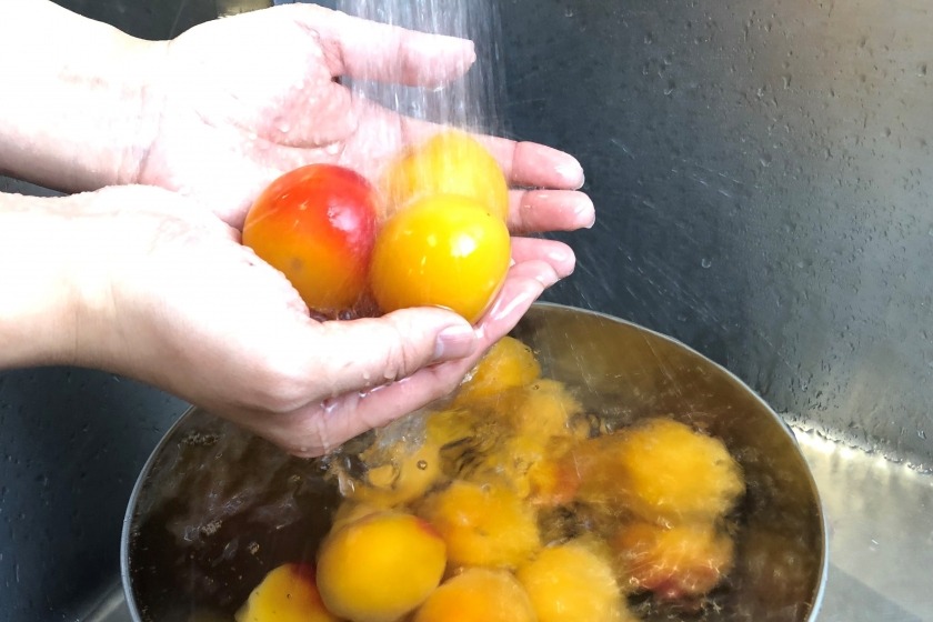 手作り梅干し＜塩分控えめ＞の作り方_3_2