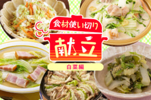 無駄なく簡単に☆平日1週間の食材使い切り献立【白菜編】