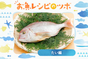 お魚レシピのツボ♪おめでタイ♪超簡単レシピで鯛の魅力を知りつくす！！