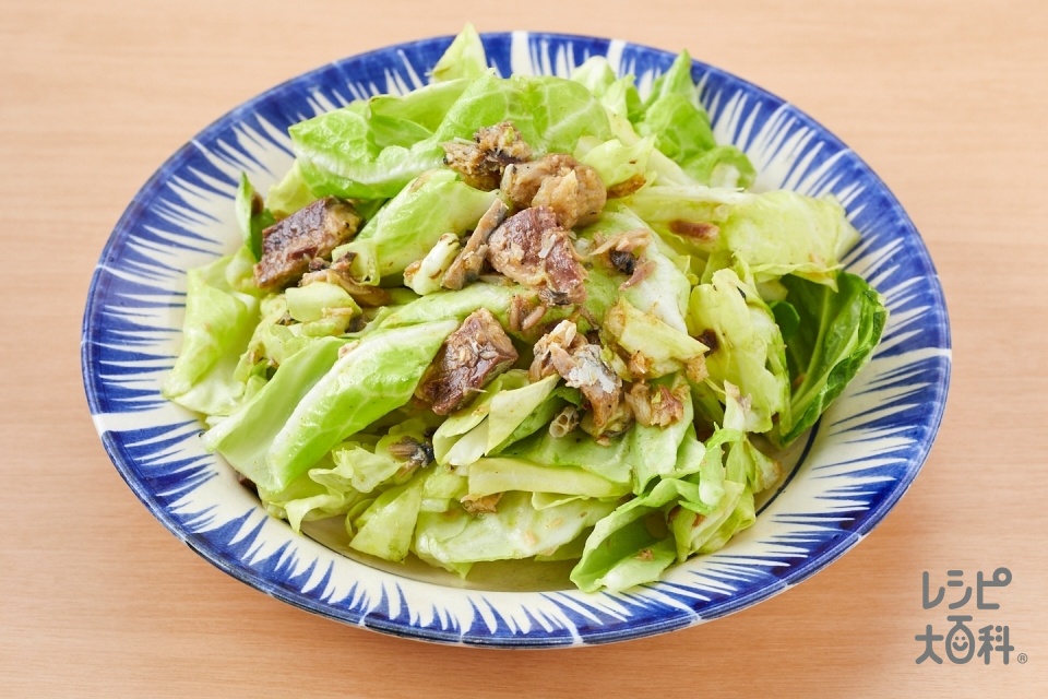 やみつき！無限さばきゃべつカレー風味