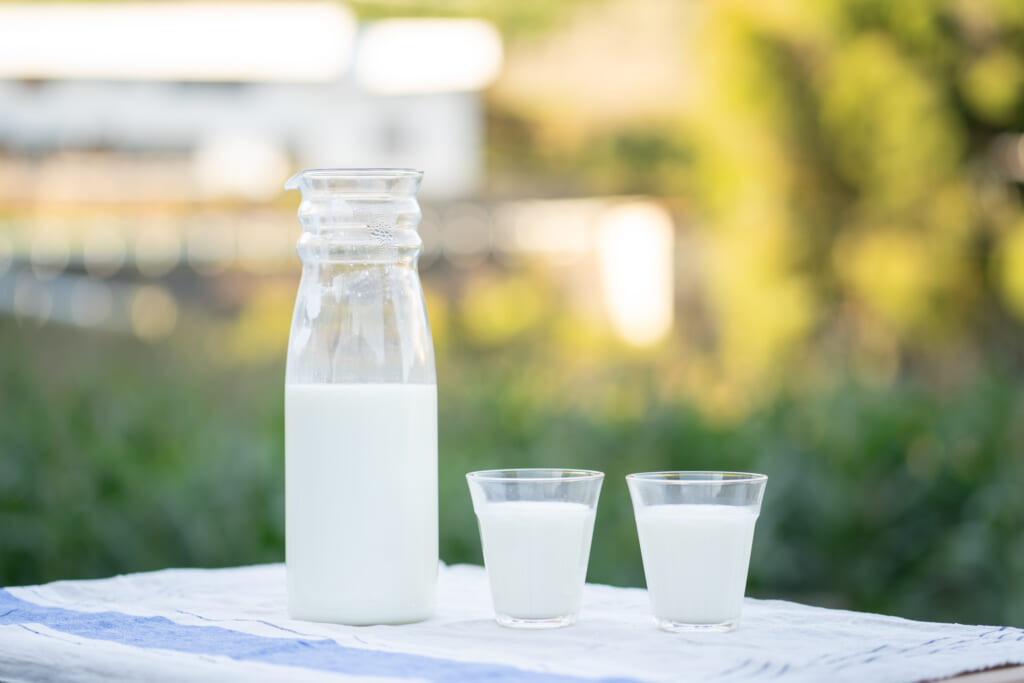 なにより「普通」が、むずかしい。酪農家さんに聞いた、牛乳作りへのこだわり