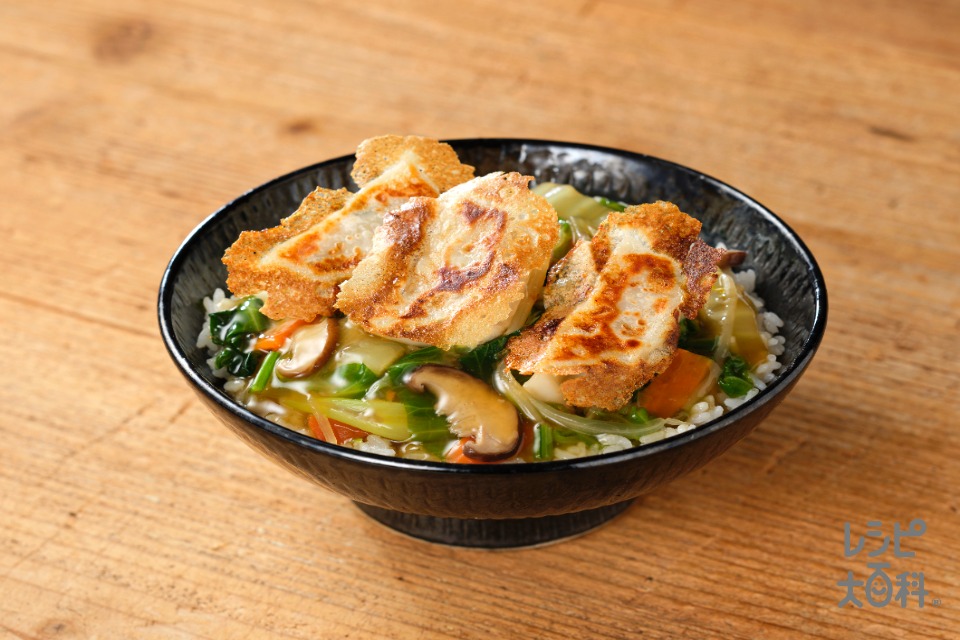 Ｐｏｗｅｒ　Ｇｙｏｚａ　ＤＯＮ