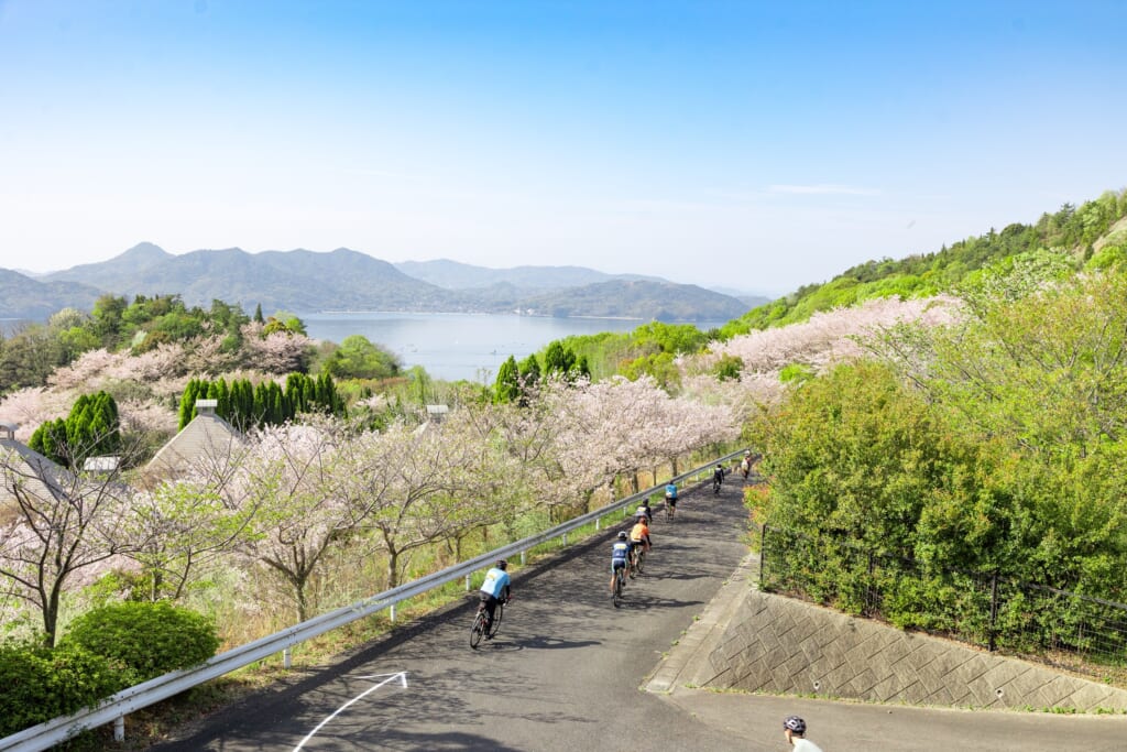 絶景だけじゃない。旅好きがハマる、しまなみ海道の