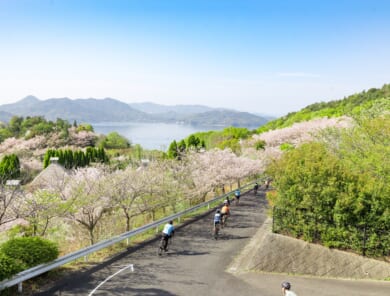 絶景だけじゃない。旅好きがハマる、しまなみ海道の”おいしいサイクリング”へ。